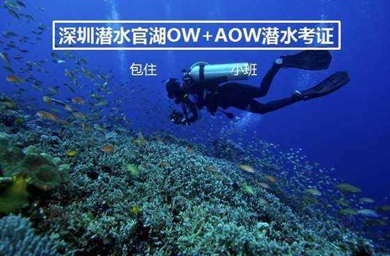 逃离撒丁岛